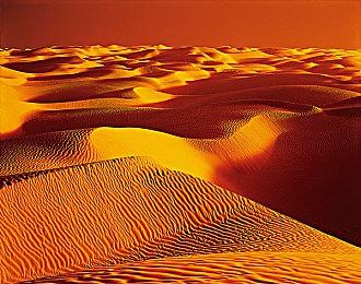 小队PvP《洛基计划》首曝视频 下一个“1万小时游戏”